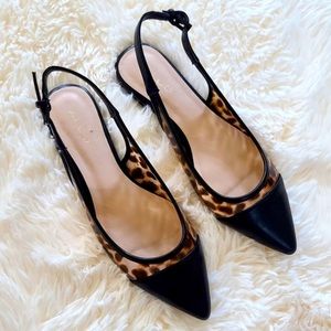 NWT Aldo Karowara Ballerina
Pointy toe shoes Sz 5